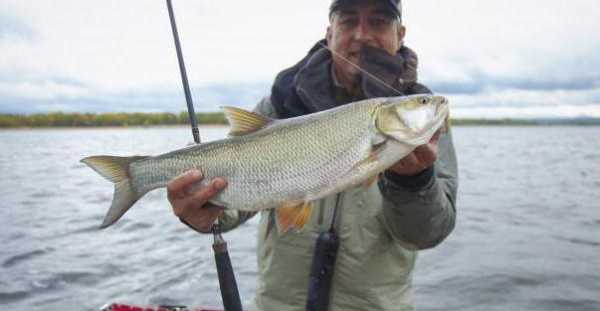 Рыбалка в Балаково: особенности, места клева и прогноз