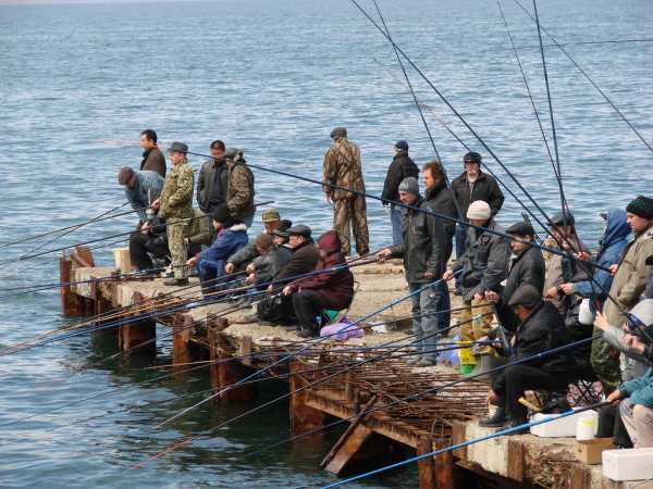 Рыбалка во Владивостоке: что и где ловится, советы и секреты рыбаков