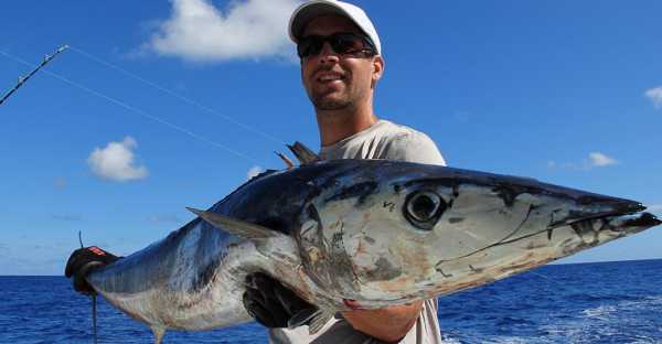 Рыбалка в Доминикане: особенности, советы, фото