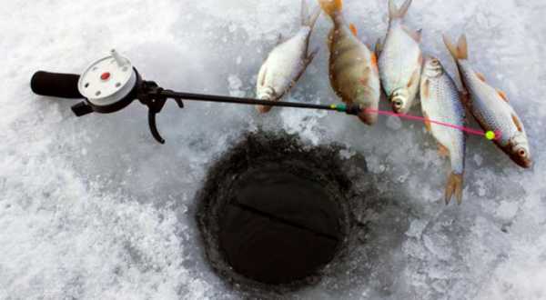 Увлекательная охота и рыбалка в Якутии
