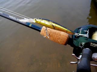 Необычная и занимательная троллинг-рыбалка